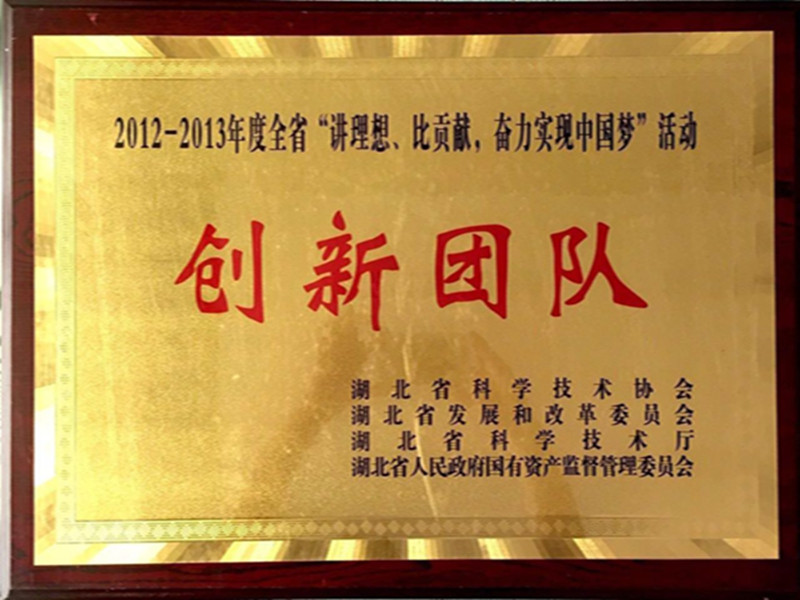 湖北省2012-2013年度“講理想，比貢獻(xiàn)”創(chuàng)新團(tuán)隊(duì).jpg